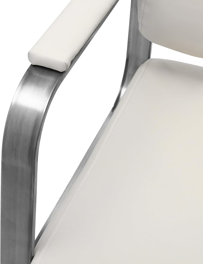 YIYIBYUS Salon Chair for Hair Stylist, 360° Swivel Barber Chair with Heavy Duty Hydraulic Pump, Spa Beauty Equipment for Hair Stylist Women Man, Max Load Weight 440 Lbs, Off-White