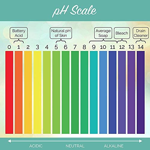 GOOD ON YA' Face Cream and Anti Wrinkle Cream for Women - Natural Lotion for Dry Skin with Manuka Honey - Anti Aging Face Cream and Hydrating Lotion for Women (8OZ)