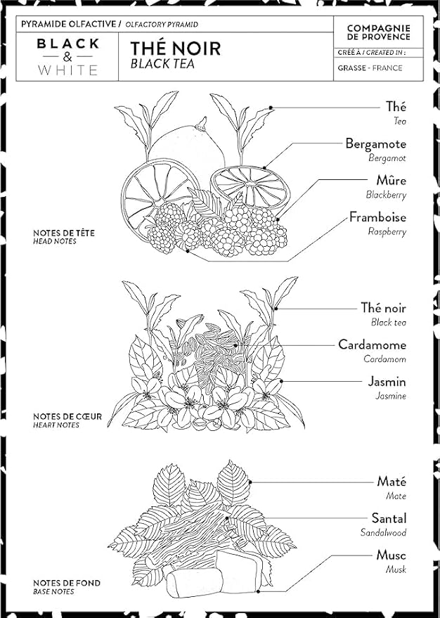 Compagnie de Provence Savon de Marseille Liquid Soap - Black Tea - 10 Fl Oz Glass Pump Bottle