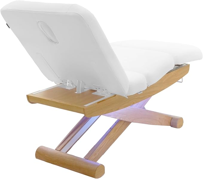 SKINACT Sage Electric Spa Treatment Table Massage, Facial Bed (White)