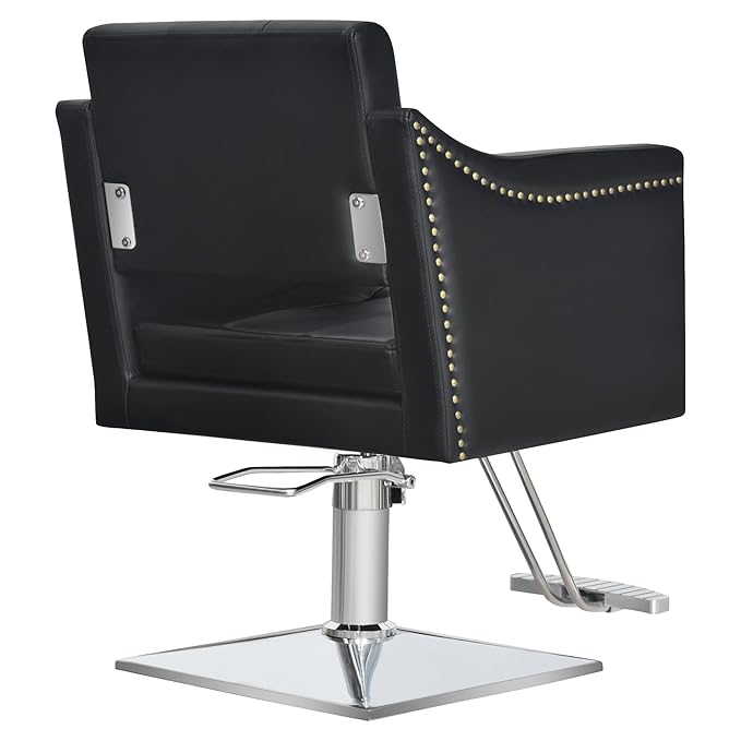 BarberPub Salon Chair for Hair Stylist, Hydraulic Barber Styling Chair, Beauty Spa Equipment 8813 (6" Seat Height Adjustment) (Black)