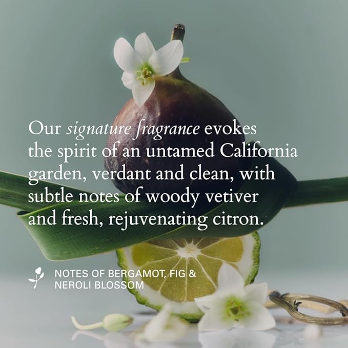 RŌZ Foundation Shampoo For All Hair Types & Textures | Hydrating, Balancing & Cleansing For Healthy Hair| Vegan, Color-Safe, Free of Silicone, Paraben, SLS | Strengthens & Nourishes 10.1 oz/300 mL