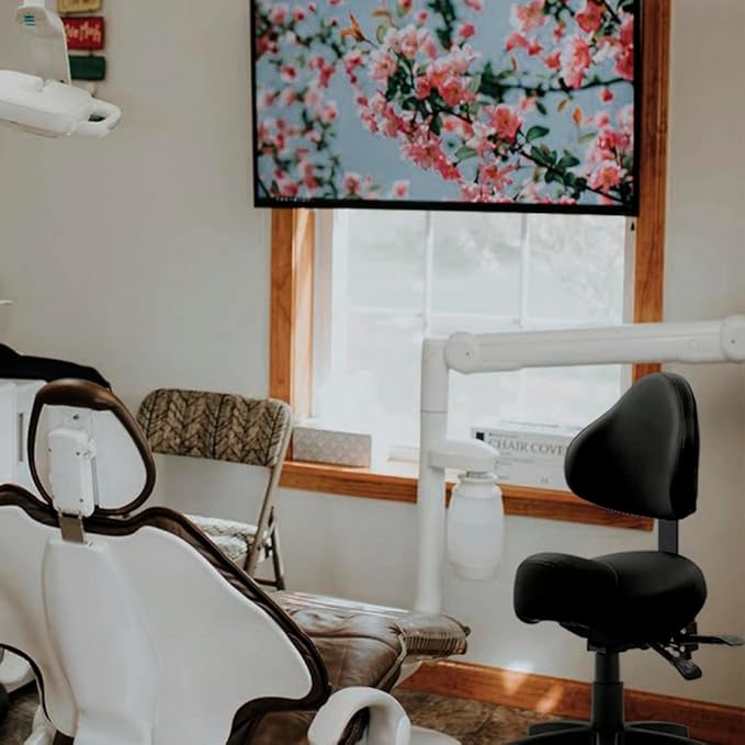 Pneumatic Swivel Rolling Saddle Chair with Wheels and Ergonomic Back Support for Hair Stylist, Dental Hygienist, Hygienic Clinic, Spa, Massage, Home, Office - 510 KOA (Black, Standard)