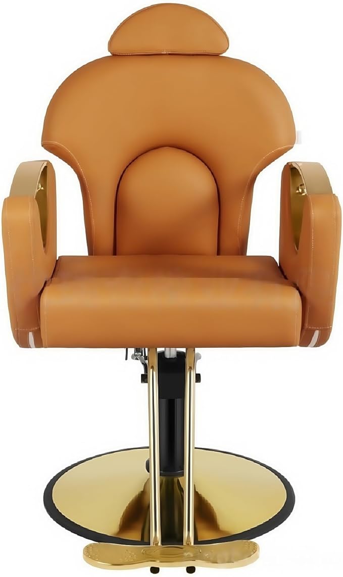 Barber Chair, Salon Chair for Hair Stylist, Height Adjustable Hydraulic Hair Reclining Salon Chair, 360 Degrees Rotation,Brown