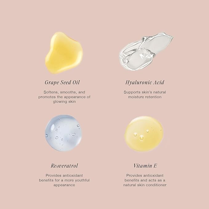 Jouer Essential High Coverage Liquid Concealer - Brightening Concealer - Color Corrector for Under Eye Dark Circles, Spot Coverage, and Eye Primer - Soft Matte Finish, Macaron