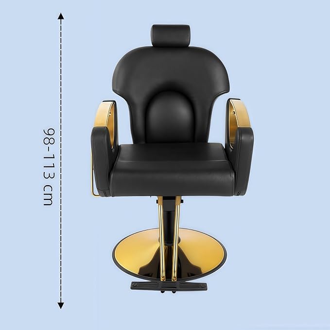 Barber Chair, Salon Chair for Hair Stylist, Height Adjustable Hydraulic Hair Reclining Salon Chair, 360 Degrees Rotation,Purple