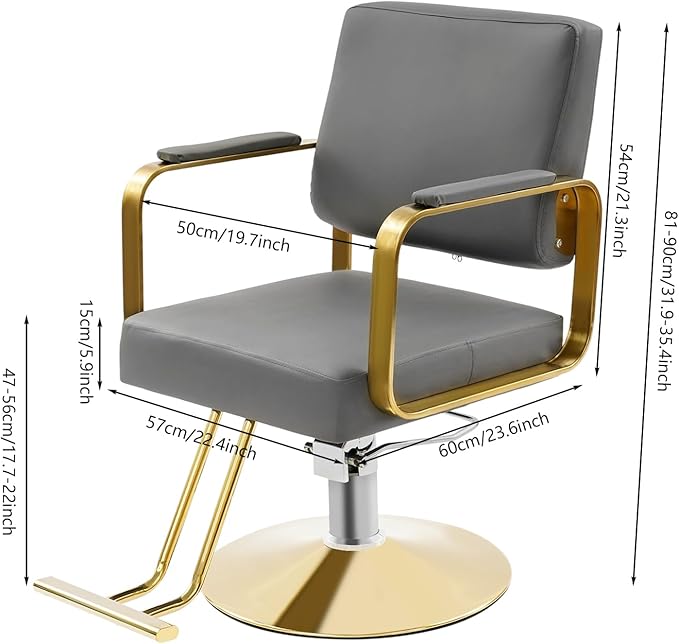 Barber Salon Chair, Hair Salon Chair for Hair Stylist for Barbershop Home Height Adjustable & 360° Swivel Styling Barber Chairs Spa Beauty Equipment, Max Load Weight 440Lbs (Grey+Gold)