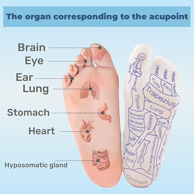 COLSA Reflexology Socks with Tools,Acupoint Socks Set,Beginner Acupoint Massage Tools Large Triangular Sparrow+acupoint Stick(2pcs Women+Gloves)