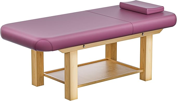 Massage Table 28IN Wide with Hight Adjustable Backrest for Treatment, Rose Red PU Leather Professional Spa Bed Load1500 LBS, Spa Table with Storage for Footmassage Facial CareSpa Tattoo