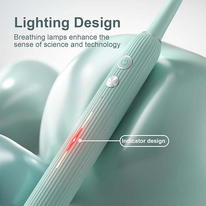 Rechargeable Sonic Toothbrush with Drying Holder, 8 Brush Heads, Smart Timer, Waterproof Design – Mint Green Edition