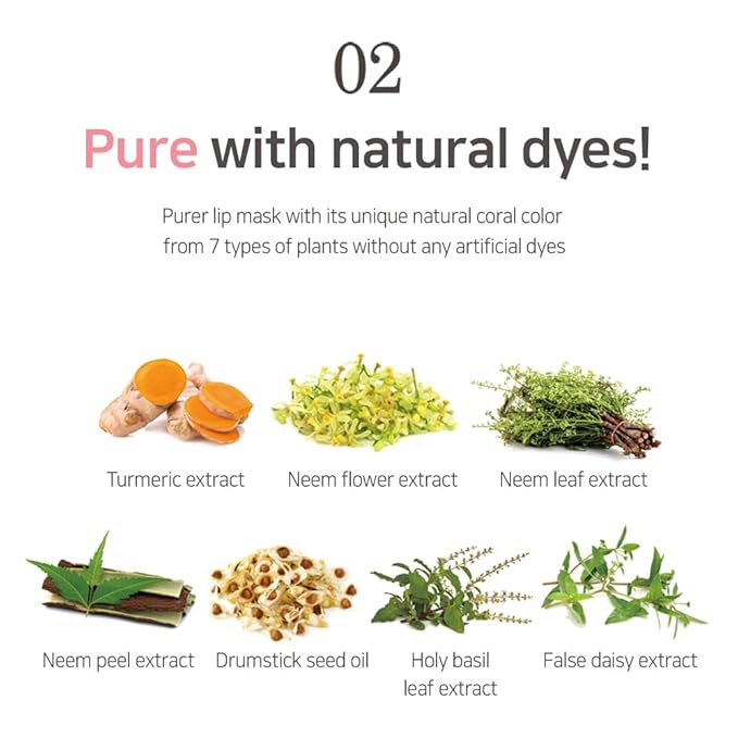 PETITFEE Sleeping Lip Mask Camelia Seed Complex