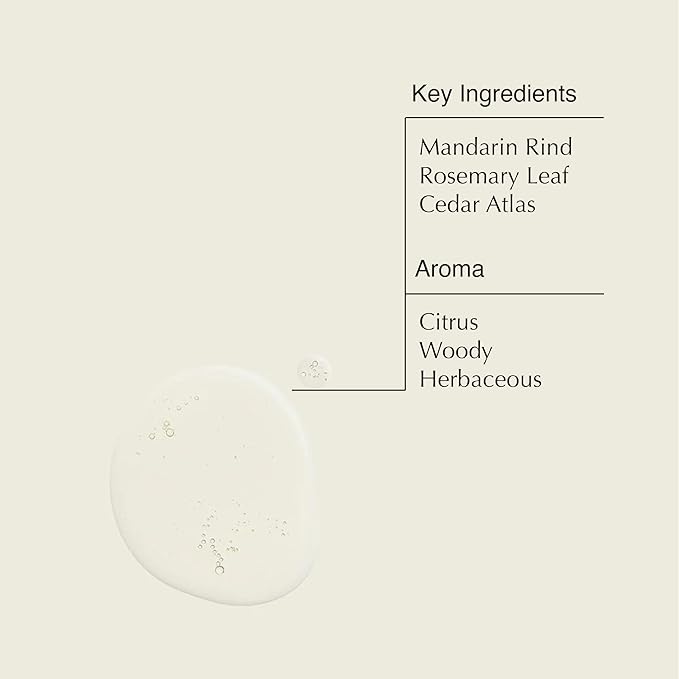 Aesop Resurrection Aromatique Hand Wash | Gentle Cleanser with Orange, Rosemary and Lavender Oils | 500mL / 16.9 oz