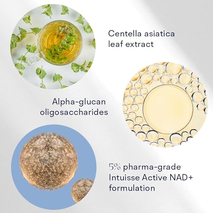 Active NAD+ Prebiotic Toner - Micellar Water & Makeup Remover– 5% Pharma-Grade NAD+ Cleanser with Centella Asiatica & A-Glucan Oligosaccharide – Swiss Liposomal Technology – 100ml