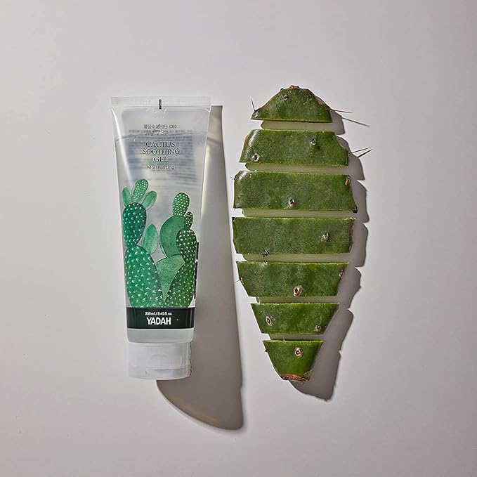 YADAH Cactus Soothing Gel (3.7fl oz) -95% Cactus Extract, Sunburn Relief,After Sun Care,Calm, Cool & Soothe Irritated Skin, Face Redness,Korean Skin Care,Vegan.