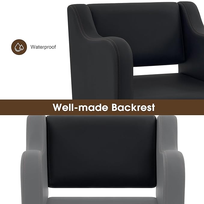 BarberPub Classic Salon Chair for Hair Stylist,Hydraulic Barber Styling Chair,Beauty Salon Spa Equipment 3802 (Black)