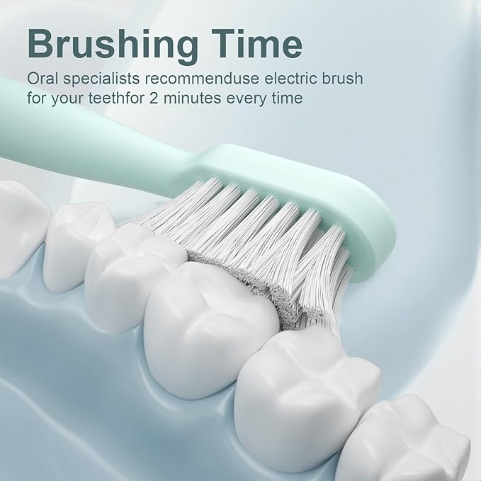 Rechargeable Sonic Toothbrush with Drying Holder, 8 Brush Heads, Smart Timer, Waterproof Design – Mint Green Edition