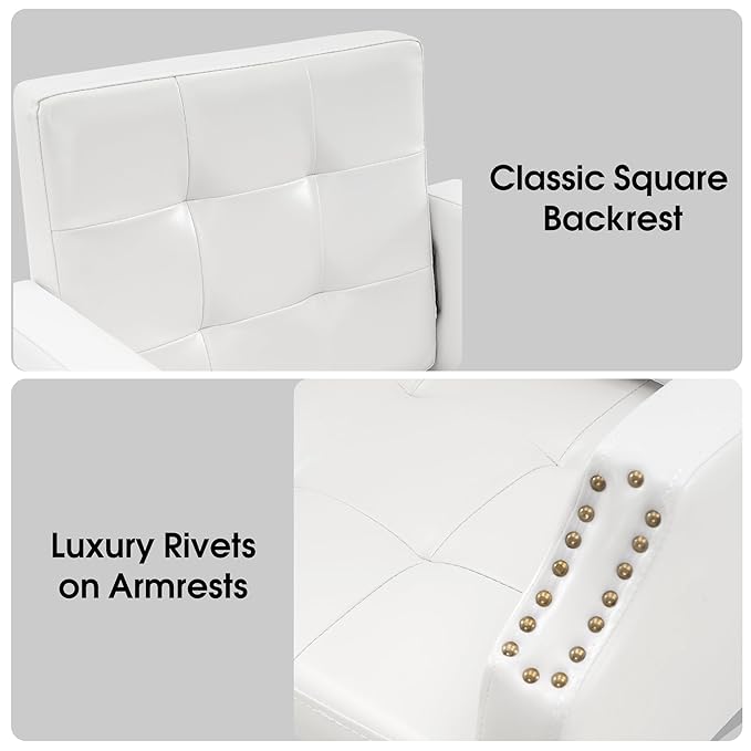 BarberPub Classic Salon Chair for Hair Stylist,Hydraulic Barber Styling Chair,Beauty Salon Spa Equipment 8818 (White)