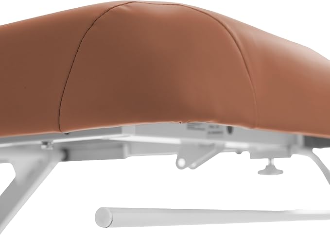 SKINACT Stella Electric Medical Spa Treatment Table (Facial Chair/Bed) ADA Compliant (Camel)