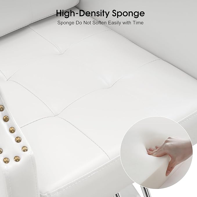 BarberPub Classic Salon Chair for Hair Stylist,Hydraulic Barber Styling Chair,Beauty Salon Spa Equipment 8818 (White)