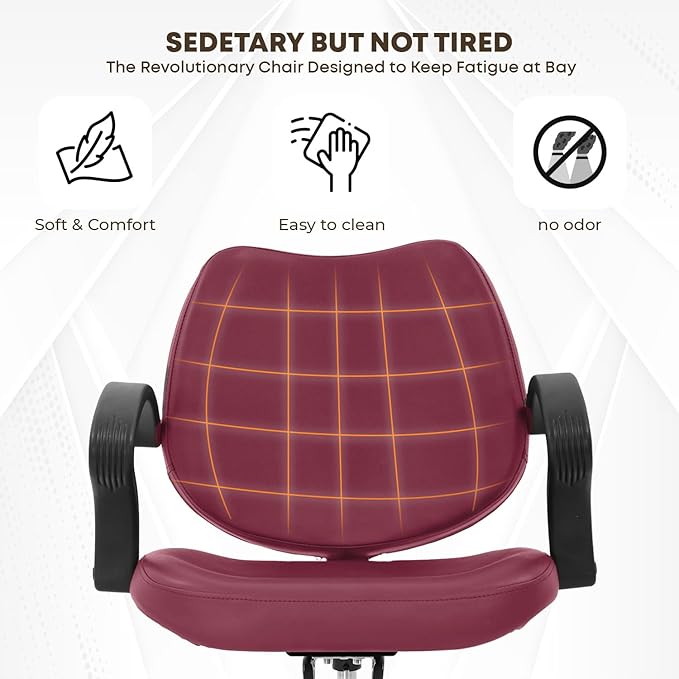 Barber Chair - Heavy Duty Hydraulic Pump Hair Cutting Chair with 360 Swivel & Ergonomic Design for Women & Men, Burgundy