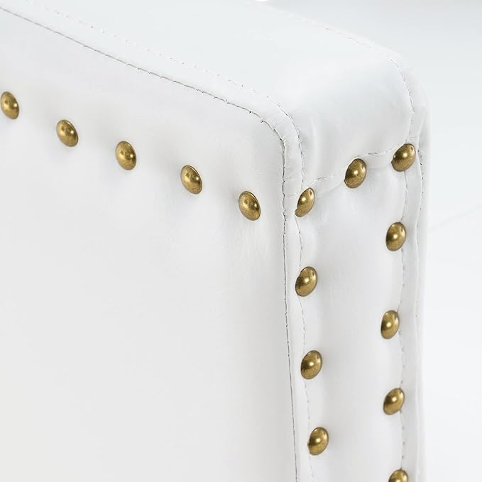 BarberPub Salon Chair for Hair Stylist, Hydraulic Barber Styling Chair, Beauty Spa Equipment 8813 (6" Seat Height Adjustment) (White)