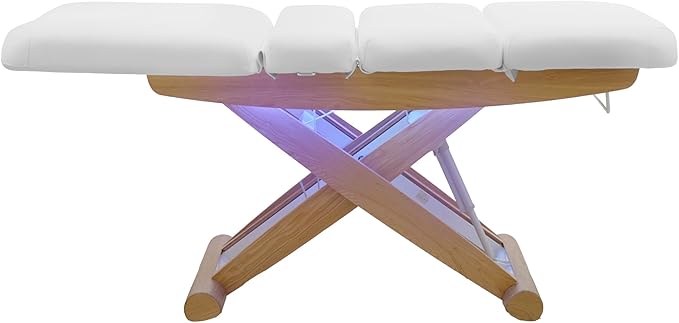 SKINACT Sage Electric Spa Treatment Table Massage, Facial Bed (White)