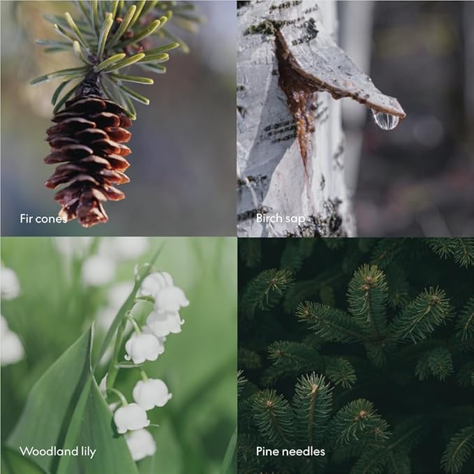 Skandinavisk Wash SKOG ‘Forest’ Scent notes: Pine needles and fir cones, birch sap and woodland lily of the valley, 16.91 fl. oz.