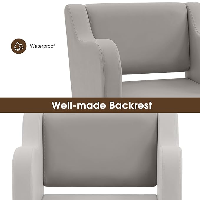 BarberPub Classic Salon Chair for Hair Stylist,Hydraulic Barber Styling Chair,Beauty Salon Spa Equipment 3802 (Grey)