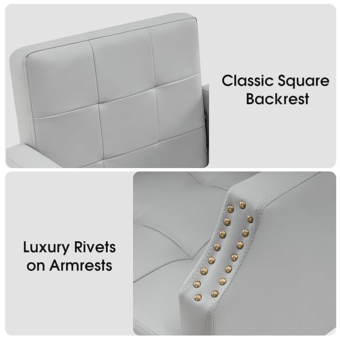 BarberPub Classic Salon Chair for Hair Stylist,Hydraulic Barber Styling Chair,Beauty Salon Spa Equipment 8818 (Grey)