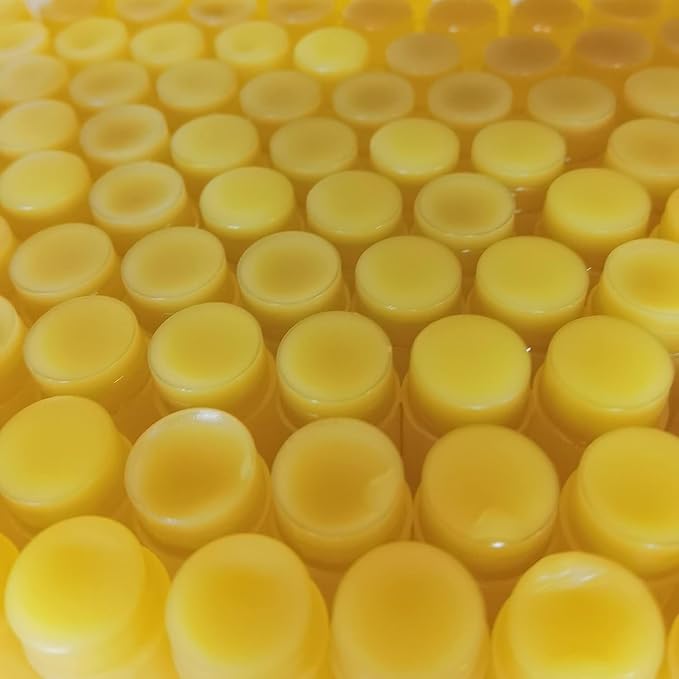 2PCS Handmade Plant lip balm Pink Lips Serum Brighten Dark Lips Bleaching Essence Lip Balm Repair Fine Lines Brighten Moisture Exfoliator Lip Care (Yellow)