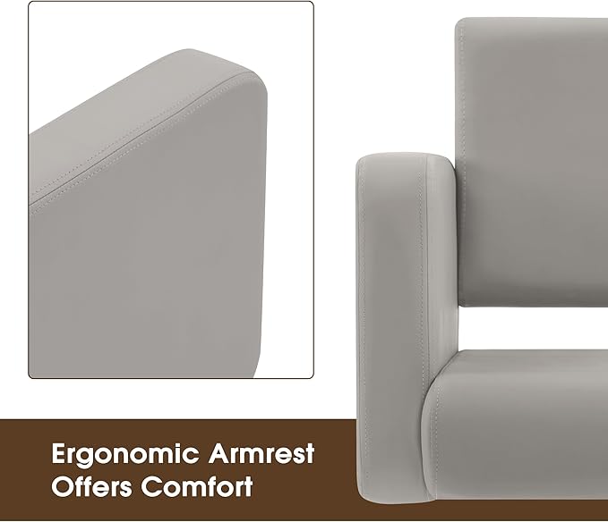 BarberPub Classic Styling Salon Chair for Hair Stylist, with Hydraulic Pump Shampoo Chair Beauty Barber Salon Spa Equipment 3805 (Grey)