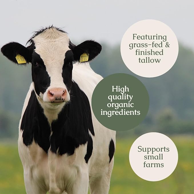 Hearth and Homestead: Handmade Whipped Tallow Balm (Coffee Vanilla) - Organic Body Butter with Infused Olive Oil - 1.3 oz …