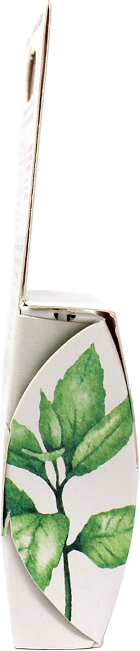 Radius Peppermint Dental Floss 55 Yards Vegan & Non-Toxic Oral Care Boost & Designed to Help Fight Plaque Clear - Pack of 4