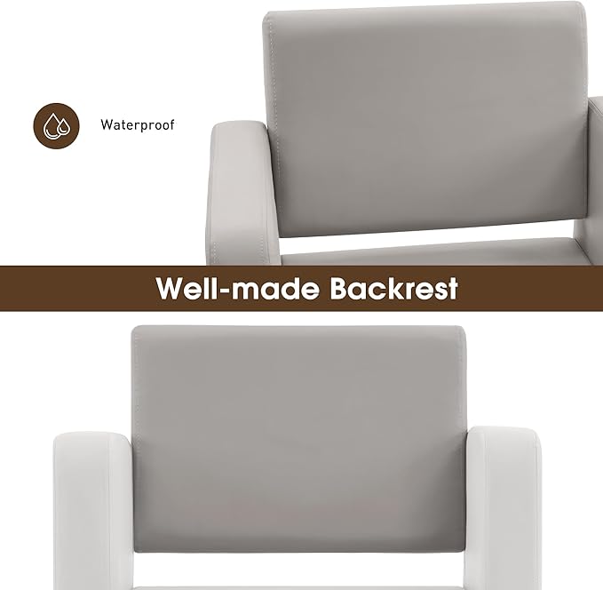 BarberPub Classic Styling Salon Chair for Hair Stylist, with Hydraulic Pump Shampoo Chair Beauty Barber Salon Spa Equipment 3805 (Grey)