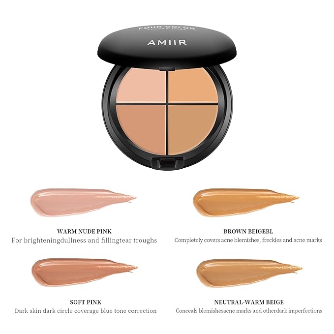 AMIIR Color Correcting Concealer Cream Full Coverage Flawless Face Contour Palette Professional Makeup, Light to Medium