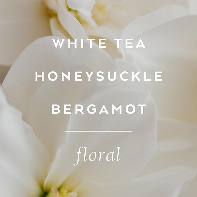 LOLLIA Dream Body Butter, 5.5 oz. - White Tea & Honeysuckle Fragrance - Shea Butter & Cocoa Butter, Body Lotion for Women, Hydrating & Smooth Body Moisturizer