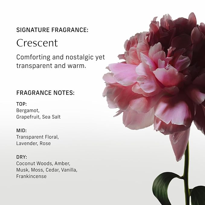 Nutrient Rich Body Cream. Crescent Fragrance Nourishing Moisturizer with Niacinamide and Banana Flower Extract. Deep Hydration, Thick Body Lotion, Dry Skin Cream for Women and Men, 8 Fl Oz