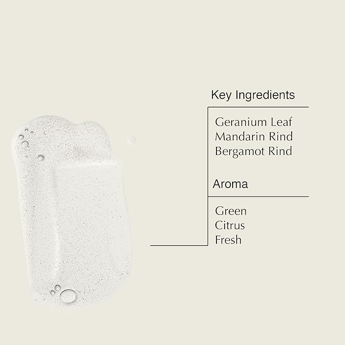 Aesop Resurrection Aromatique Hand Soap, Geranium Leaf Body Wash| Paraben, Cruelty-free & Vegan | 16.9 oz