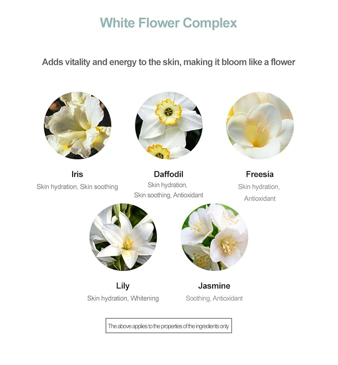 Cream Gel Face Serum, 50ml – K-Beauty serum for daily moisture Makeup prep.