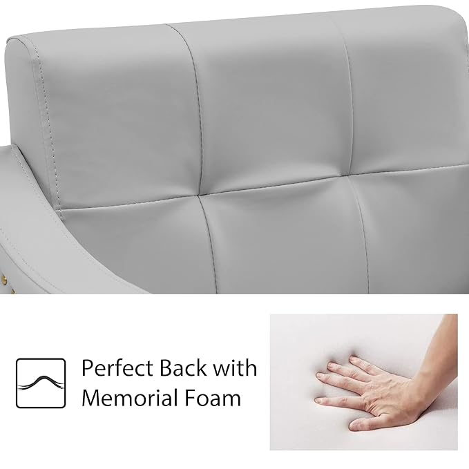 BarberPub Salon Chair for Hair Stylist Hydraulic Barber Styling Chair, Beauty Spa Equipment 8813 (6" Seat Height Adjustment) (Grey)