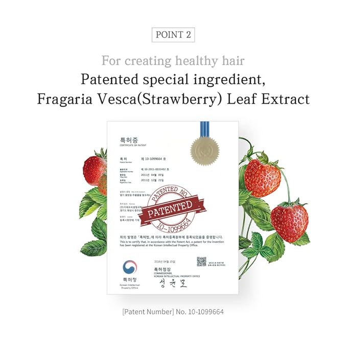 jmella IN FRANCE Hair Care Queen5 Shampoo 16.9 floz with luxury fragrance- Chemical free- Strawberry leaf extract -4 types of plants oil -17 types of amino acid complex, Hydrolyzed Collagen