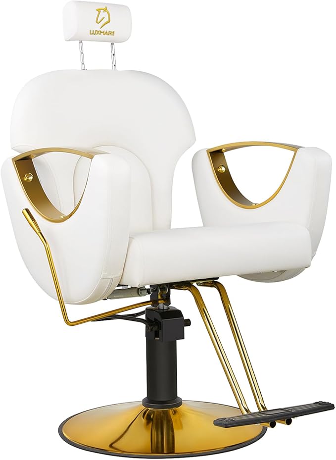 Hydraulic Barber Chair, Salon Chairs 360 Degrees Rolling Swivel Hair Styling Chair, Adjustable Height Hair Stylist Tattoo Salon Beauty Spa Chair Styling Equipment - White