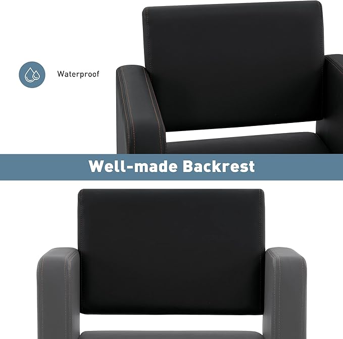 BarberPub Classic Styling Salon Chair for Hair Stylist, Barber Chair with Hydraulic Pump, Beauty Barbershop Salon Spa Equipment 3805 (Black)