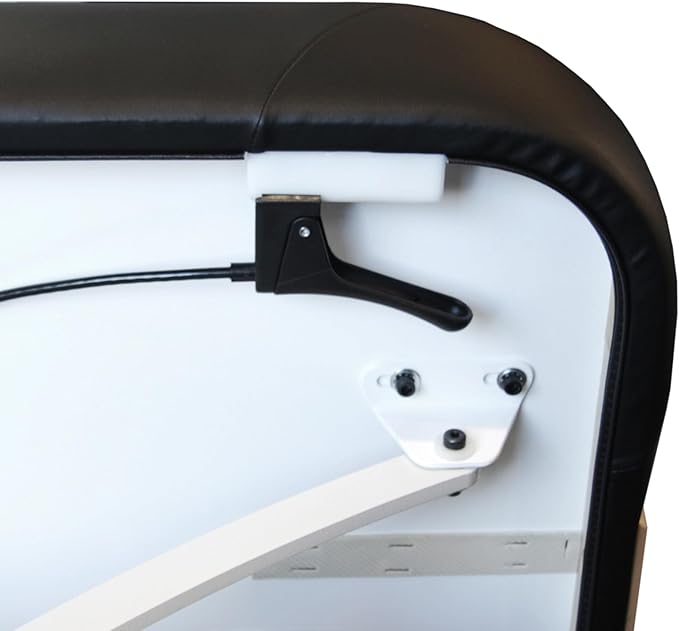 EarthLite Ellora Electric Lift Salon Massage Table, Manual Tilt, Made in USA, 32" x 73", Black