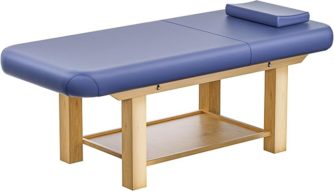Massage Table 28IN Wide with Hight Adjustable Backrest for Treatment, Blue Leather Professional Spa Bed Load1500 LBS, Spa Table with Storage for Footmassage Facial CareSpa Tattoo