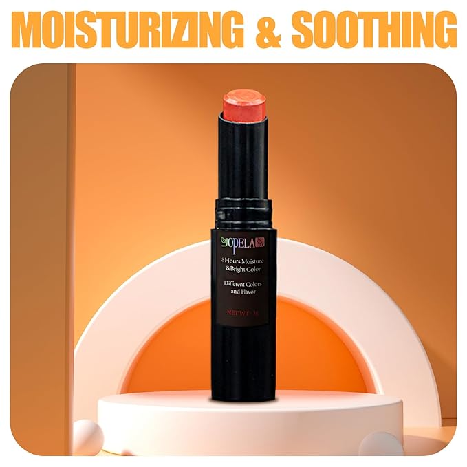 10 Pack Tinted Lip Balm Stocking Lips