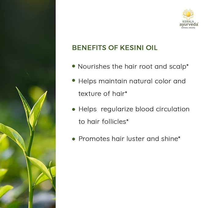 Kerala Ayurveda Kesini Hair Oil (3.38 fl oz) | Herbal Blend with Bacopa, Hibiscus, Amla, Indigo, Castor & Coconut Oil | Deeply Nourishes Dry Scalp & Strengthens Hair | Paraben-Free, Mineral Oil-Free