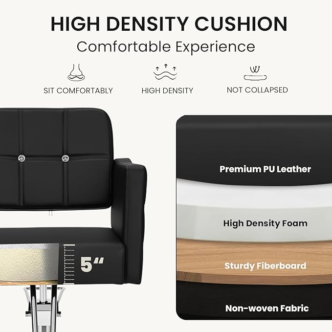 Professional Salon Chair for Hair Stylist, 350 Lbs Heavy Duty Hydraulic Pump, 360° Swivel Styling Chair with Adjustable Height, Barber Chair for Barber Shop, Spa, Tattoo Studio, Basic Black