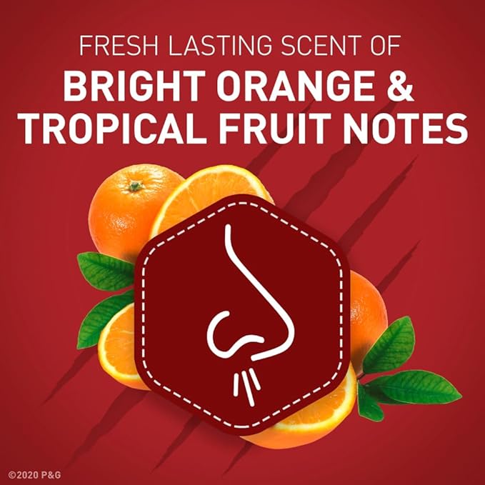 Old Spice Wild Collection Wolfthorn Scent Men's Invisible Solid Antiperspirant Deodorant 2.6 Ounce (Pack of 4)