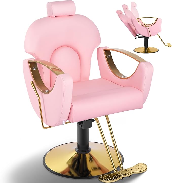 Pink Salon Barber Chair, Reclining Salon Hair Chair for Hair Stylist with Heavy Duty Pump, 360° Swivel Multi-Function Braiding Hairdresser Chair for Barbershop Home, Max to 440lbs
